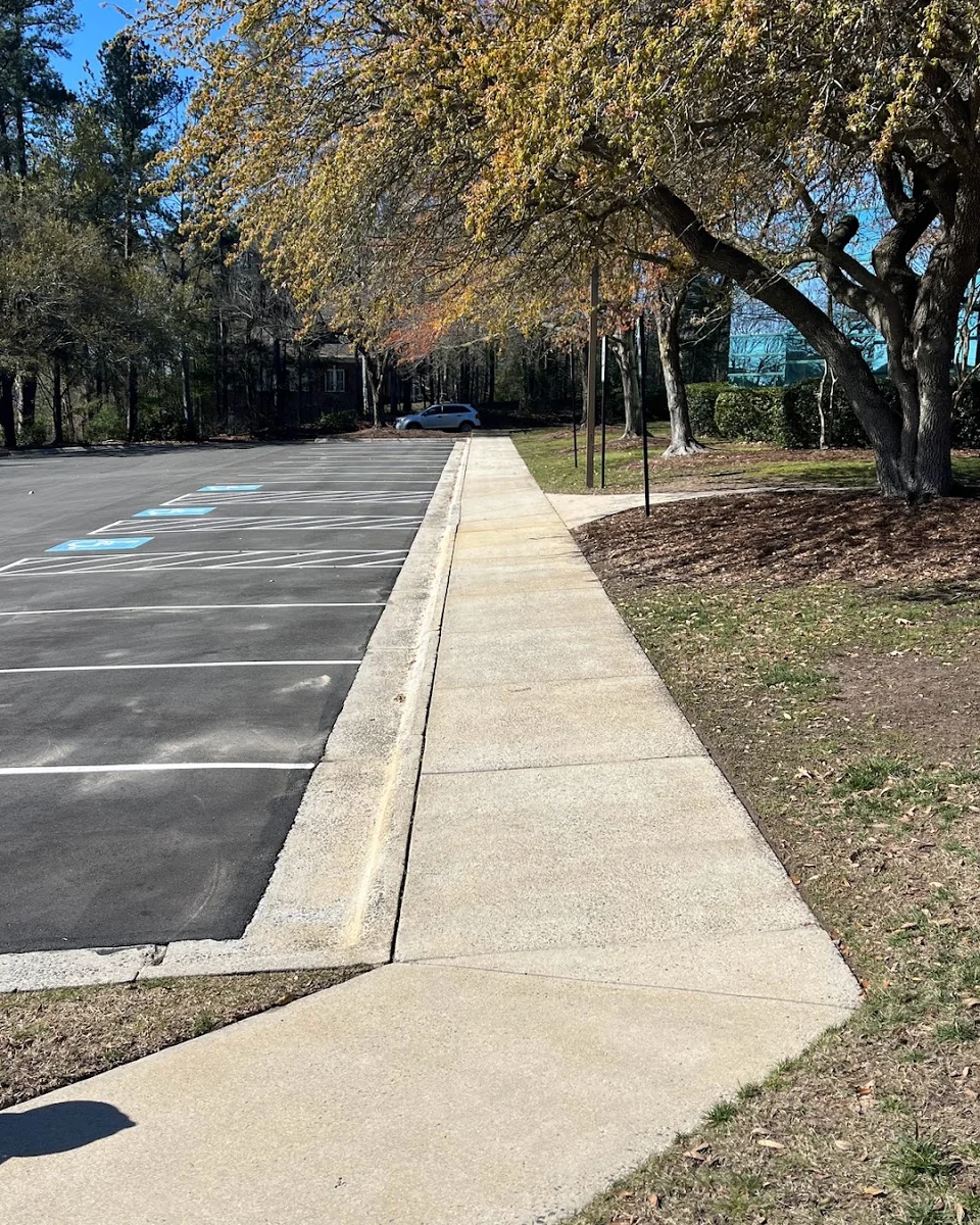 Sidewalk beside a commercial parking area and mature trees